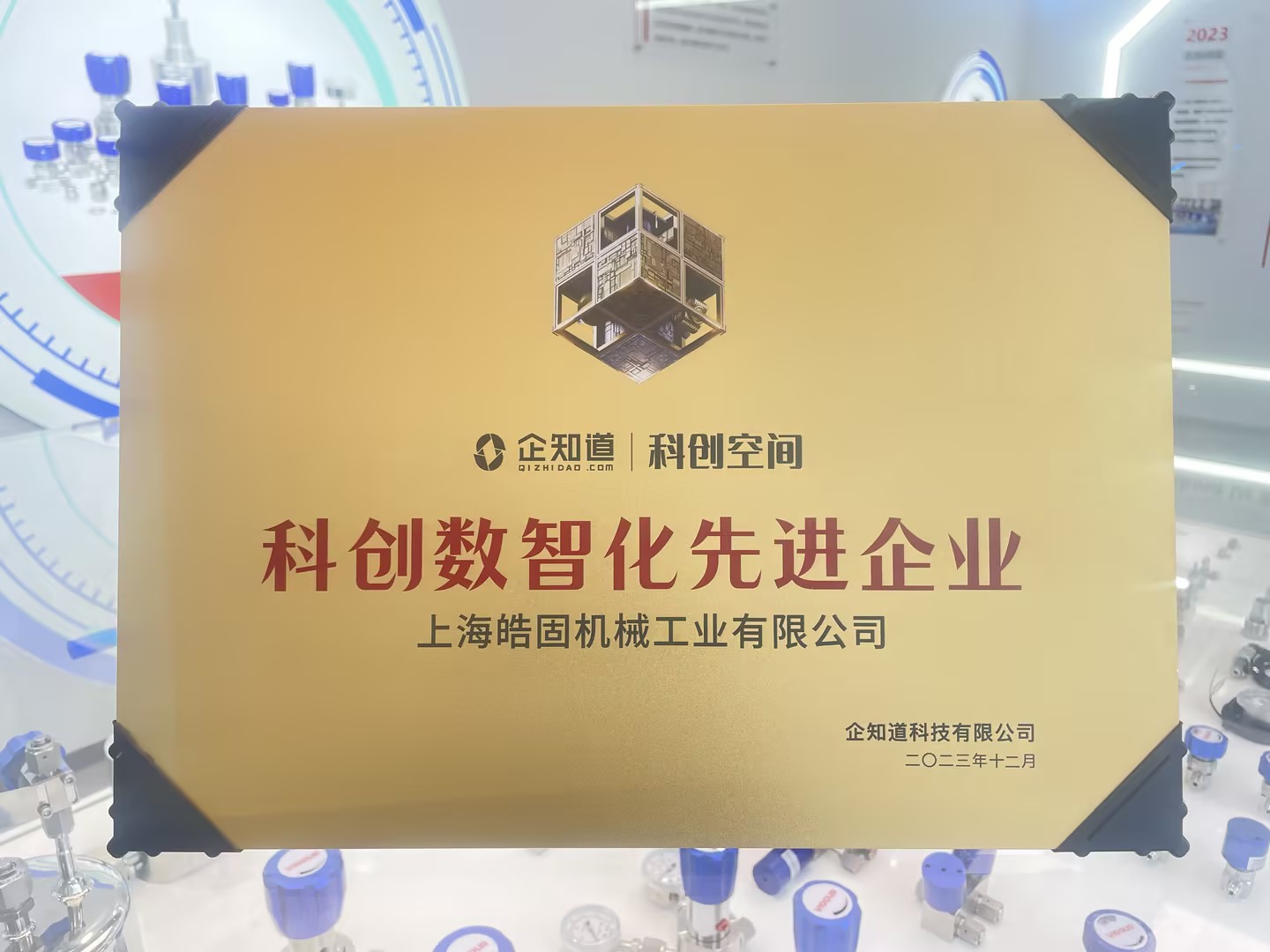 1765422904192686.jpg 26a19738-8de3-44f1-8c04-fcdfe91f1f56.jpg