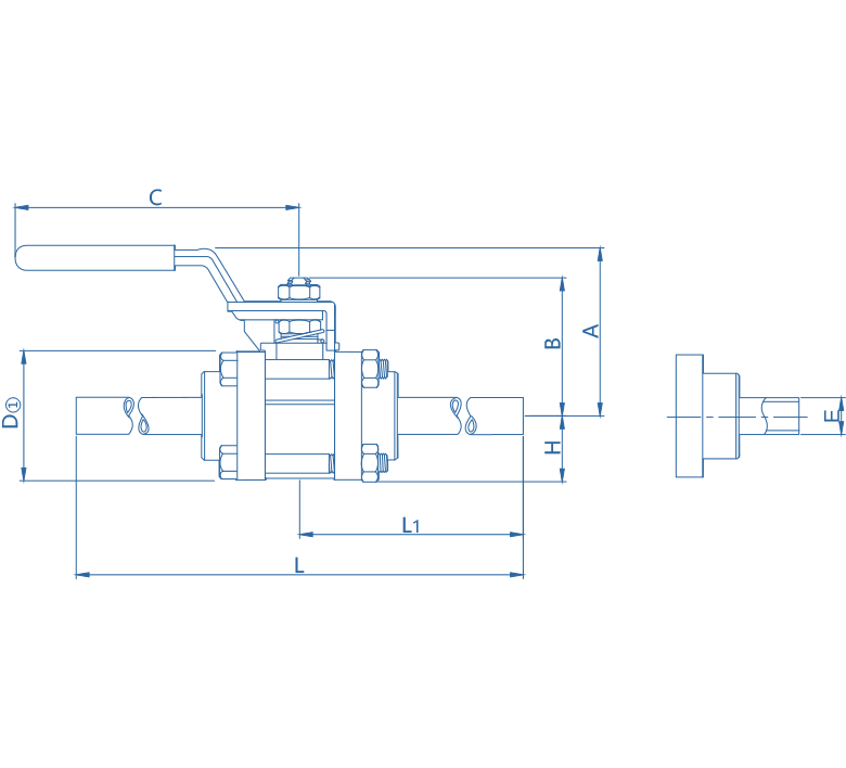 Ball Valves