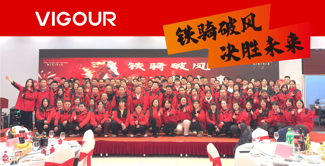 VIGOUR丨2025年度盛典圆满举行