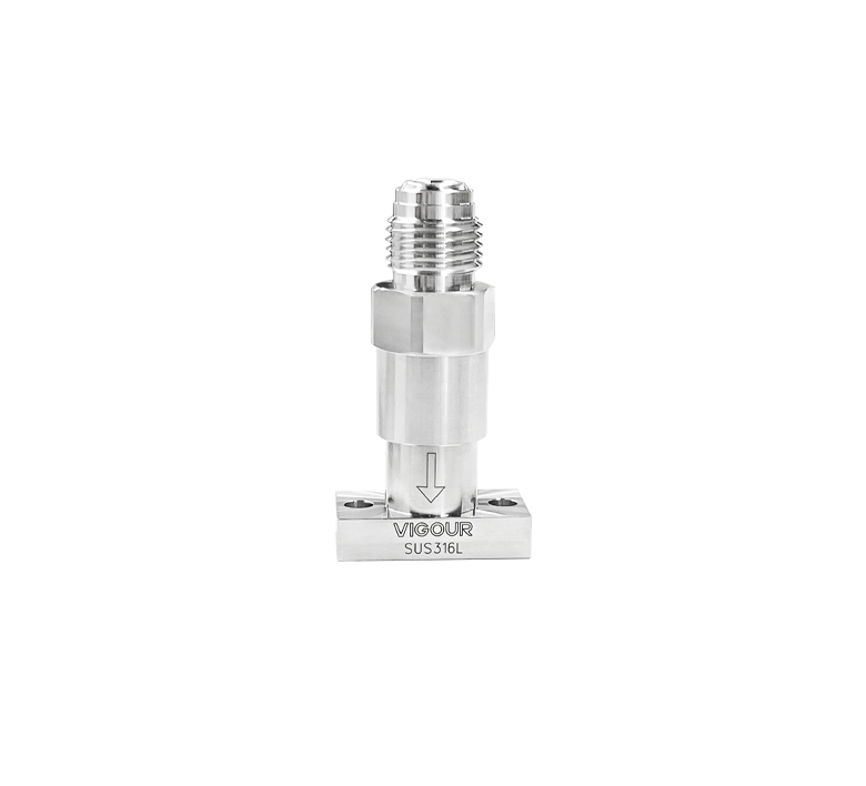 IGS Check Valve
